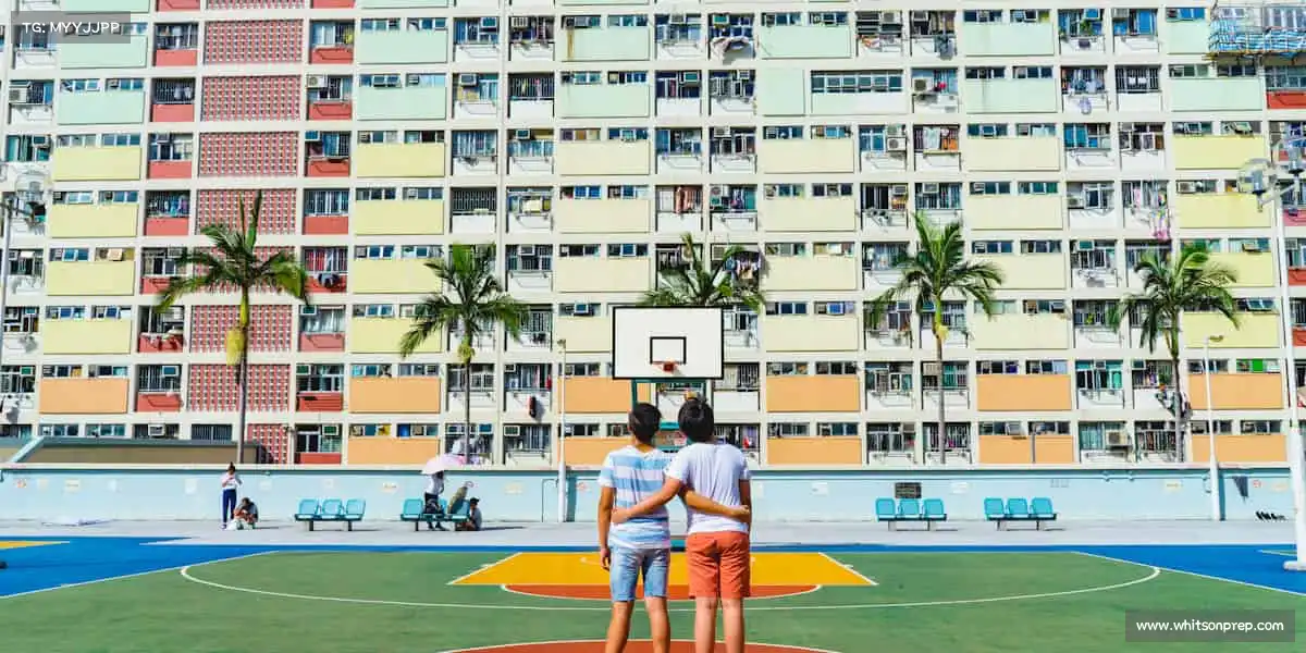 我们的品牌价值